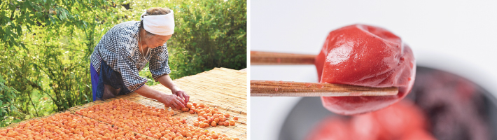 株式会社ante 石川の農産物や伝統技術を利用した商品開発